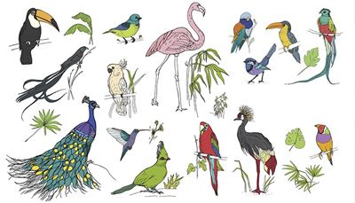 sekretærfugl, flamingo, papegøje, kakaduer, påfugl, kolibri, vinge, tukan, hale, blad, ara, næb, hals