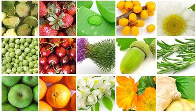 havtorn, morgenfrue, rosmarin, kirsebær, bladhovedtidsel, kamille, avocado, appelsin, ingefær, agern, jordbær, ærter, aloe
