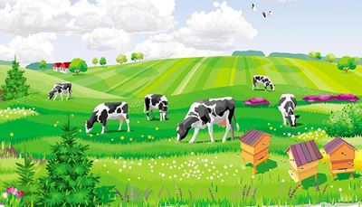 obzorje, govedo, čebelnjak, čreda, polje, travnik, kmetija, vime, jelka, grm