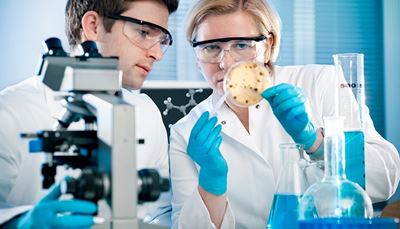 forsker, afskærmninger, videnskab, bakterier, mikrober, mikroskop, molekyle, handsker, briller, petriskål, kittel, prøve, kolbe