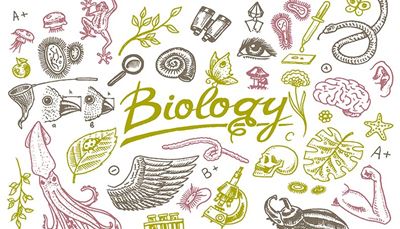 force, bacteriophage, microscope, binoculars, magnifier, brain, biology, frog, wing, snake, earthworm, ear, beetle, net, beak