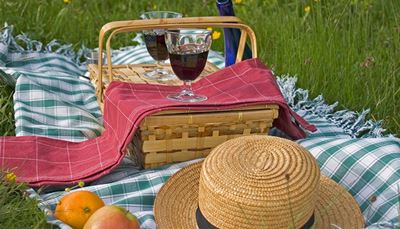 travnik, karirasto, jabolko, pomaranča, prt, klobuk, košara, ročke, piknik, vino