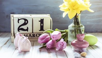 váza, kalendářníměsíc, smyčka, narcis, tulipán, vejce, jeden, dva