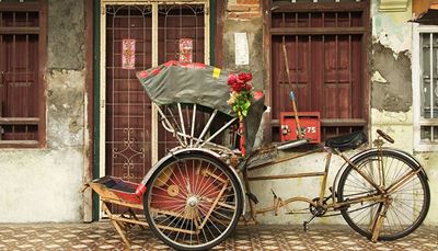 triciclo, rickshaw, transporte, persianas, puerta, rueda, pedal, casa, ramo, cubo, buzón