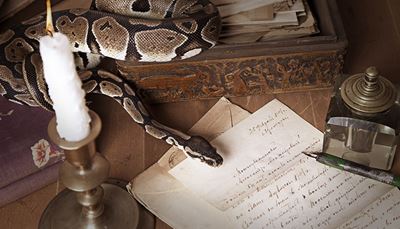 brief, handschrift, kroontjespen, python, kaars, hoofd, snijwerk, slang, bloem