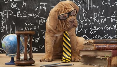 okulary, klepsydra, łapa, równość, książki, ołówek, algebra, krawat, globus, wzory, pies