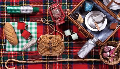 bottle, suitcase, sheephook, thermos, sausage, wicker, flask, mug, lantern, flyagaric, handle, tartan, napkin, bread, plate