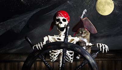 cat, tricorne, skeleton, skull, feather, ribs, bandana, wheel, night, pirate, jaw, spine, moon