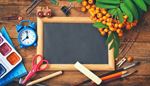 centimeter, rowanberries, watercolors, setsquare, paintbrush, paperclip, chalkboard, thumbtack, scissors, compass, chalk, alarm