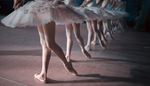 ballettschuh, strumpfhosen, fussboden, ballettrockchen, schatten, performance, ballerina, knochel, knie