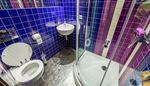 toiletpaper, bathroom, toiletbrush, toiletbowl, tile, button, shower, drain, soap