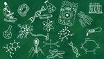 kromosom, reagensglas, nanobot, mikroskop, formel, atom, cellekerne, kolbe, nerve, gen, celle