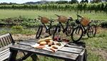 cesta, cursodeagua, bicicleta, tres, picnic, vinedo, casco, vino, queso, banco, pan