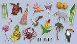 flamant, elephant, oiseaudeparadis, asperge, palmier, pompon, meduse, ananas, orange, tortue, toucan, crabe, bec