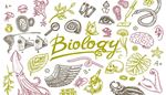 verme, batteriofago, biologia, calamaro, microscopio, lente, orecchio, scarabeo, teschio, cervello, occhio, serpente, binocolo, becco, ala
