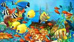 anemonedemer, bulles, sous-marin, fondmarin, mat, poisson, algues, corail, epave, banc