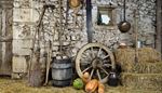 ladle, milkchurn, pumpkin, pitchfork, wheel, bottle, sickle, eggs, hay, broom, barrel, saw