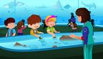 spackhuggare, spjutfisk, skoldpaddor, lycka, diadem, rora, hammarhaj, havsakvarium, ryggsack, skolutflykt, manta, akvarium, pool