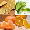 citrussläktet