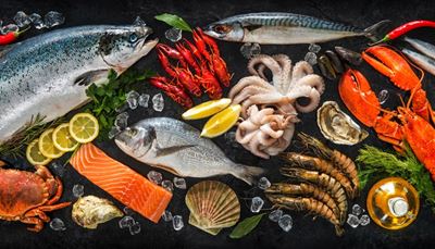 homár, tengergyümölcsei, aranyosfejűhal, pisztráng, citrom, osztriga, rák, kapor, garnéla, jég, makréla, polip, filé