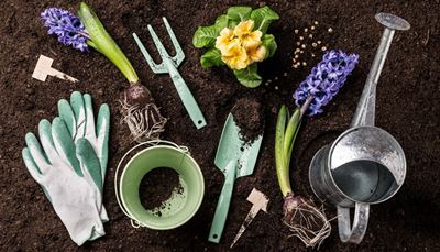 høygaffel, vannkanne, hyacinth, primula, hagearbeid, hansker, plate, jord, bøtte, kule, frø