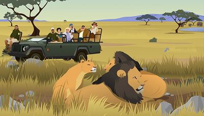 savana, správceparku, turistika, smečka, safari, džíp, oáza, lvice, kámen, lev, slon