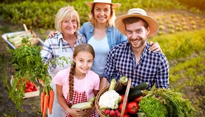 squash, grønnsaksbed, bladsalat, bestemor, gulrøtter, familie, blomkål, tomat, reddik, flette, gård