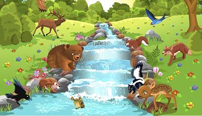 река, медвежонок, оленёнок, ворон, ласточка, пороги, кролик, лиса, олень, скунс, шерсть