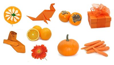 pompoen, persimmon, stropdas, sinaasappel, origami, strik, geschenk, gerbera, oranje, spoken, peen