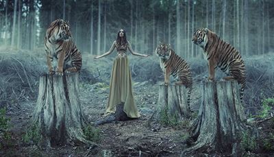 mergina, suknelė, juostelės, tigras, uodega, žemė, tankmė, kelmas, mokymas, miškas