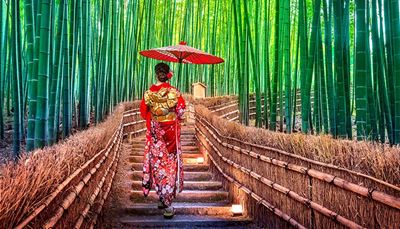 kokardka, kimono, parasol, latarnia, japonia, bambus, słoma, las, schody, płot