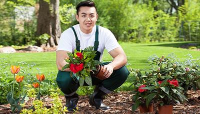 tulipan, gumijastiškornji, delovnehlače, vrtnar, lonec, poklic, zaponka, trata, deblo