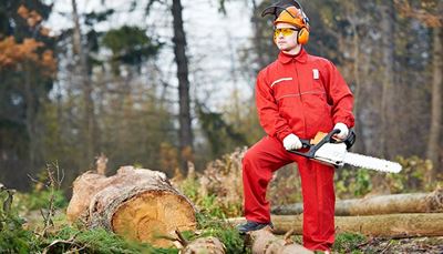 lumberjack, chainsaw, blade, headphones, forest, growthrings, bark, hardhat, logging, log