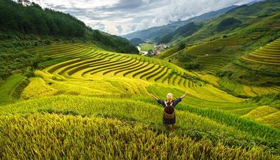 vietnamas, slėniošlaitas, moteris, krepšys, ryžiai, miškas, atstumas, dangus, laukas