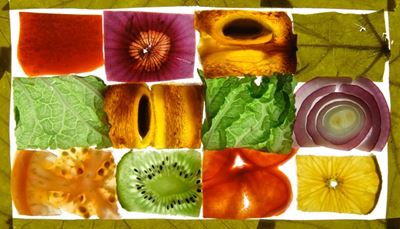 cennetelmasi, turunçgi̇l, çeki̇rdek, damar, domates, kabuk, di̇li̇m, ki̇vi̇, marul, yaprak, soğan