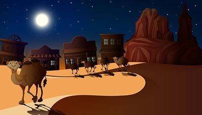 nat, fuldmåne, klippe, karavane, skygge, kamel, sand, pukkel, ørken, dyne