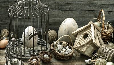œuf, craquelure, barreaux, trou, nichoir, nid, paille, ficelle, cage