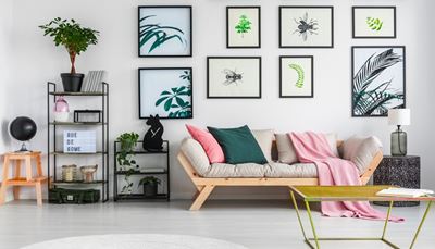 fly, sofa, silhouette, interior, briefcase, shelves, beetle, vase, globe, table, plant