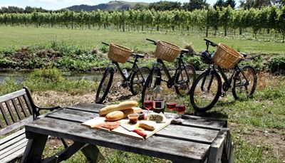 trys, dviratis, iškyla, vynuogynas, suolelis, sūris, kanalas, šalmas, krepšys, vynas, duona