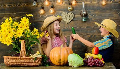 oillamp, cucumber, cabbage, bulb, grapes, pumpkin, stetson, heart, basket, corn