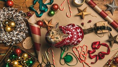 vánoce, věnec, svetr, svíčka, kočka, cukrovátyčka, hvězda, stužka, vousky, nůžky