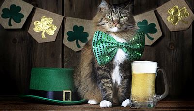 paw, whiskers, sequins, beermug, felt, foam, cat, clover, ears, bow, beer