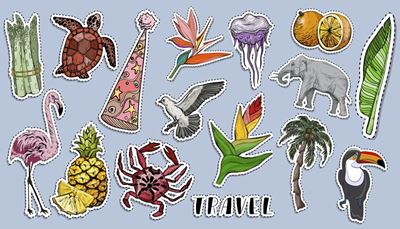 strelitzie, schildkröte, apfelsine, spargel, palme, flamingo, schnabel, elefant, bommel, qualle, krabbe, tukan, ananas