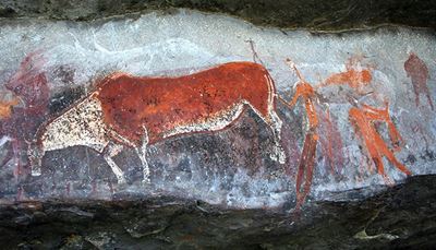 toro, cavernícola, humano, pintura, cabeza, roca, cueva, ocre