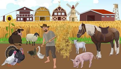 świnia, słonecznik, pszenica, stodoła, siano, indyk, wiatrak, krowa, koza, rolnik, koń