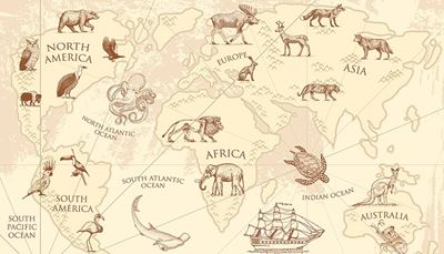 tiger, kontinent, bläckfisk, tukan, sköldpaddor, kakaduor, flamingo, elefant, hammarhaj, bisonoxe, älg, bubo, känguru, fauna, hare