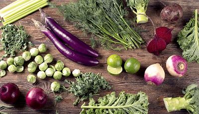 rübe, wurzelgemüse, aubergine, brokkoli, rosenkohl, grünkohl, rotebete, zwiebel, zitrone, sellerie, dill