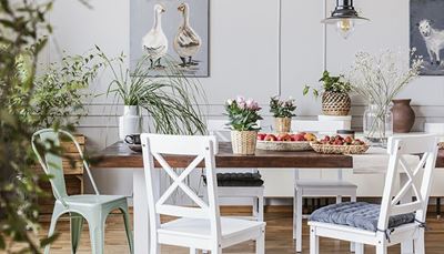 ebédlő, székpárna, lámpa, növények, asztal, kép, eper, szék, váza, liba, alma