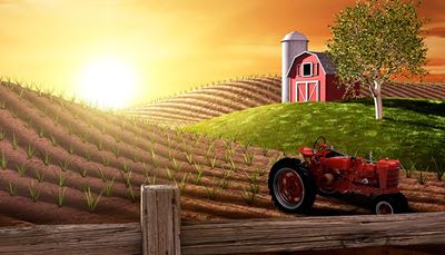 traktor, solnedgang, hegn, lade, trætop, mark, hjul, eng, silo, bakke