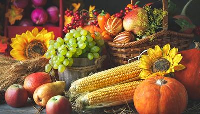 kukurydza, urodzaj, słonecznik, winogrona, sznurek, pszenica, dynia, jabłko, jagody, kolba, grusza, koper